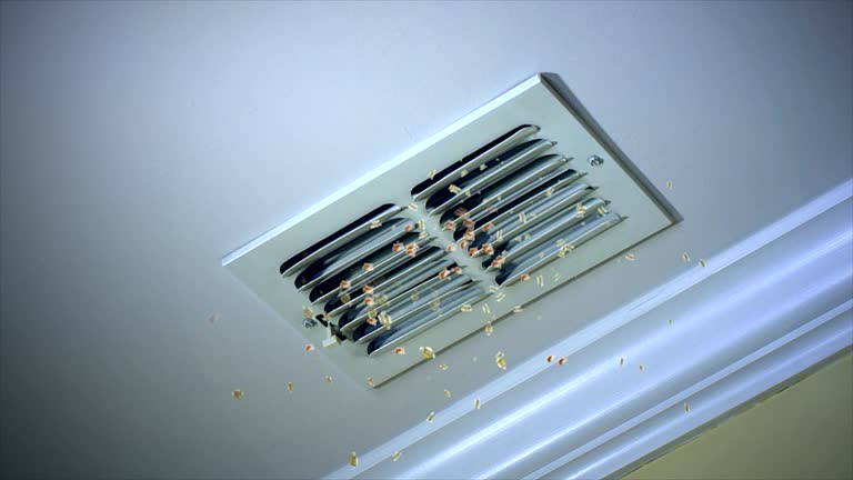 Best Affordable Air Duct Cleaning  in Rio Grande City, TX