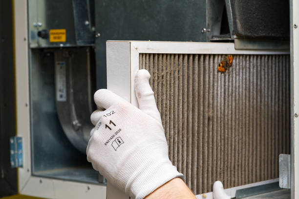 Best HVAC System Cleaning  in Rio Grande City, TX