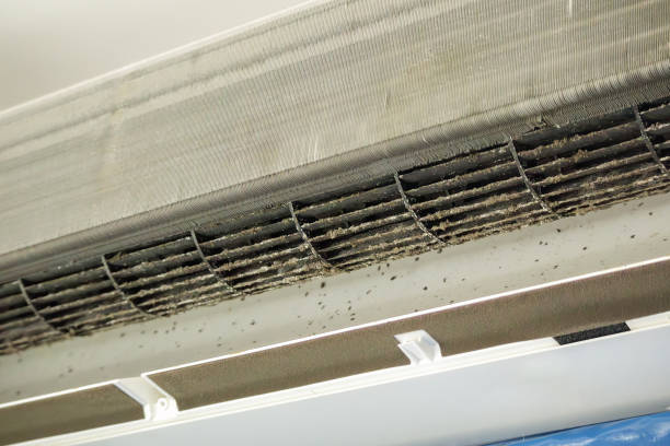 Best Local Air Duct Cleaning Services  in Rio Grande City, TX