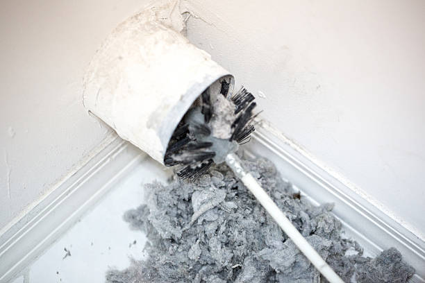Best Air Duct Cleaning Near Me  in Rio Grande City, TX
